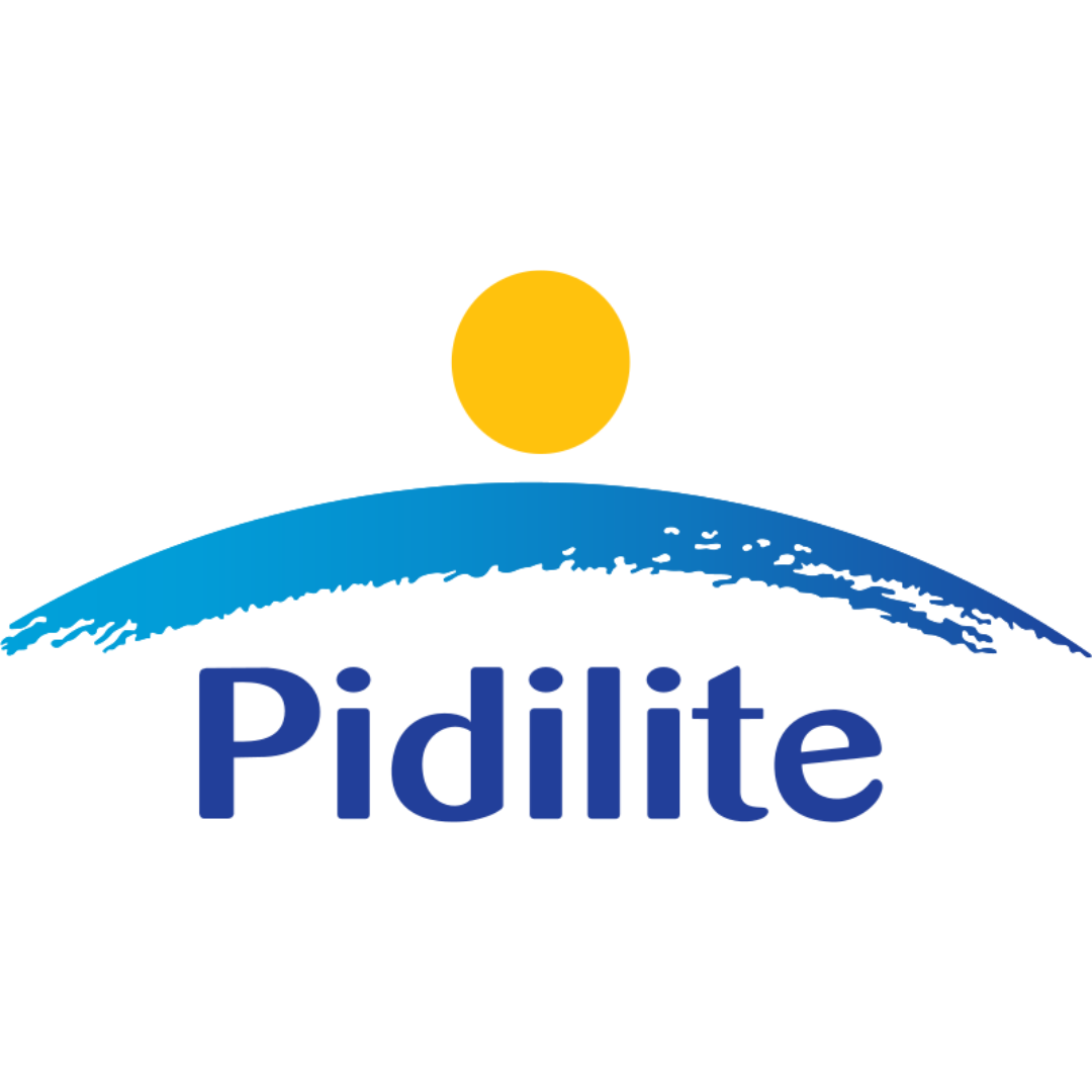 Pidilite Industries Logo – Trusted Building and Maintenance Brand
